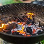 Grillkohle Test – Diese Holzkohle glüht am besten